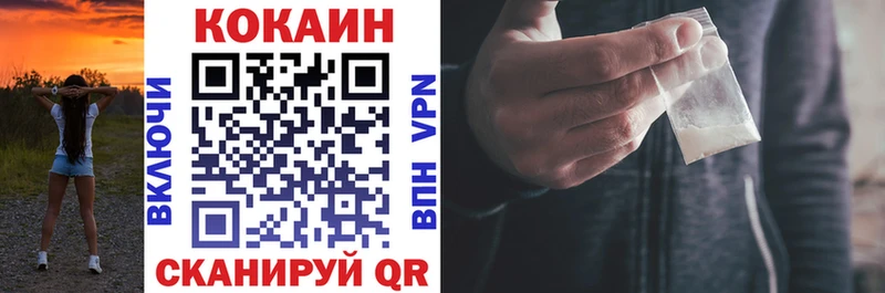 Купить закладки  Мещовск  Cocaine Fish Scale 