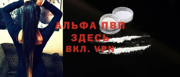 ешки Богданович