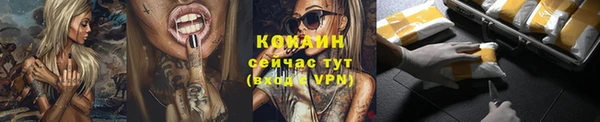 mdpv Богородицк