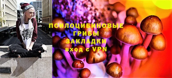ешки Богданович