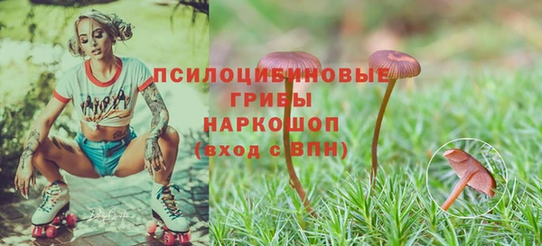 mdpv Богородицк