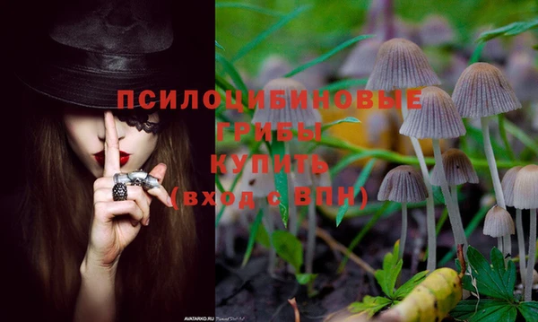 mdpv Богородицк