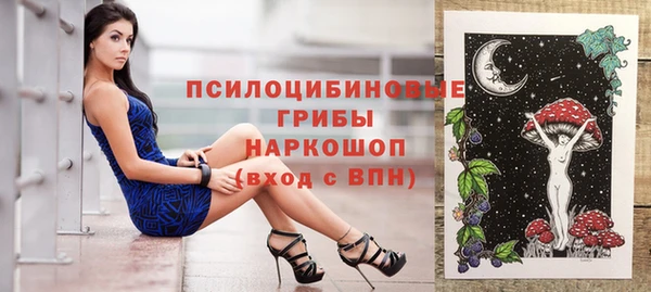 ешки Богданович