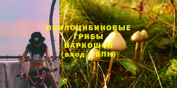 mdpv Богородицк