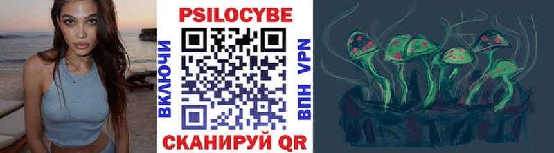 Купить  Мещовск  Псилоцибиновые грибы Psilocybine cubensis 